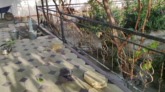 Брусчатка ишларимиз давом этяпди. 99 3033031.94 5633999 смотреть онлайн