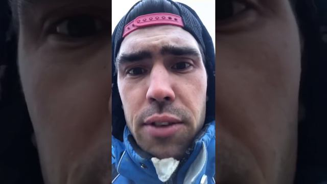 В поисках телят смотреть онлайн