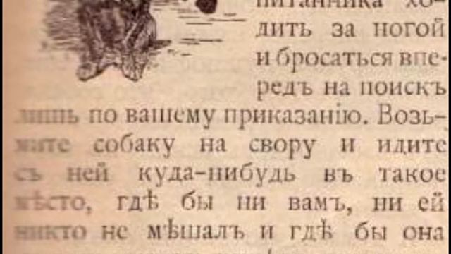 Собаководство в Российской Империи смотреть онлайн