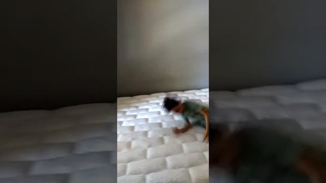 Jumping beans 5 смотреть онлайн