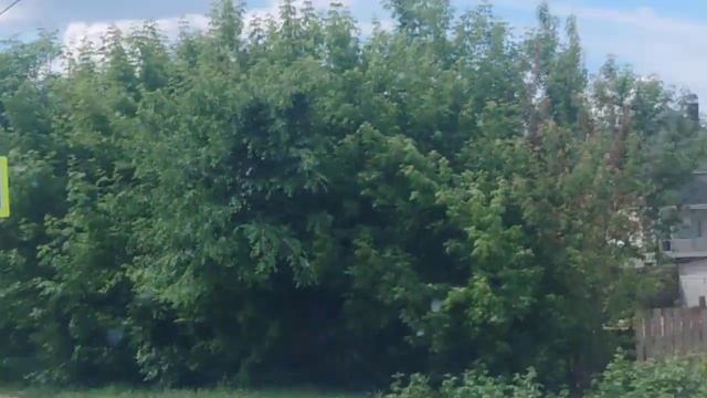 Сызрань (Самарская область).Syzran (región De Samara).