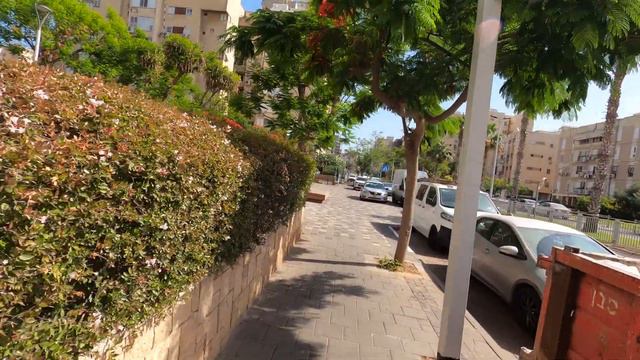 Бат-Ям ул. Анна Франк 🌞зацвела .Часть1 смотреть онлайн