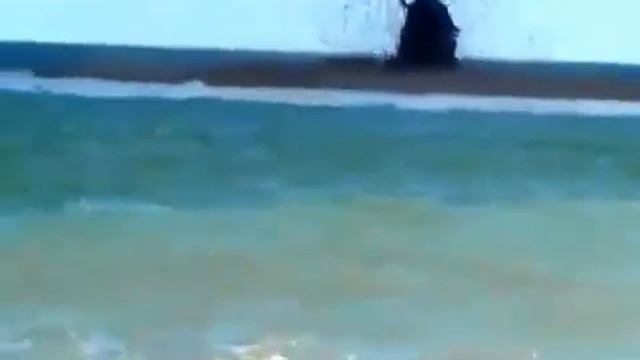 Азовское Море. Проснулся Вулкан на побережье Азовского моря. Грязевой Вулкан. смотреть онлайн
