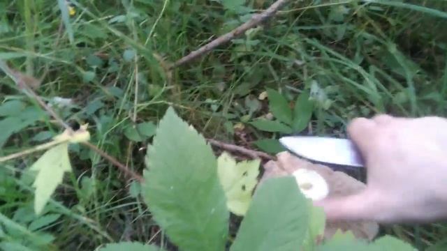 белый груздь смотреть онлайн