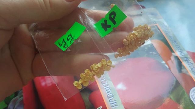 Любимые ПЕРЦЫ! Сладкие и острые! смотреть онлайн