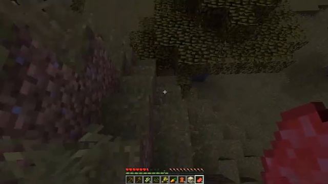 LetsPlay#1 Заселение в деревню смотреть онлайн