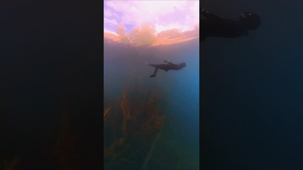Подводный космос озера Ключик Ворсма #фридайвинг #freediving #underwater смотреть онлайн