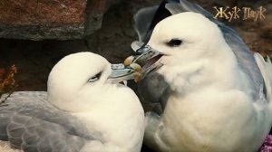 Топ ЖИВОТНЫХ - ВОНЮЧЕК!