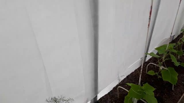 Еду на дачу вдвоём, но не с мужем... Мой день на даче без мужа. Чем занималась и моя новинка смотреть онлайн