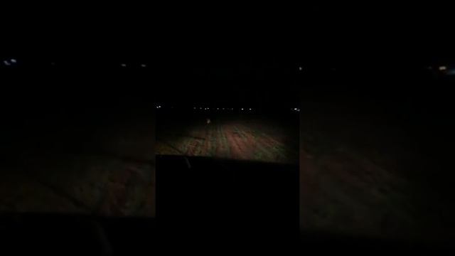 Гонимся на ниве за зайцем по полю смотреть онлайн