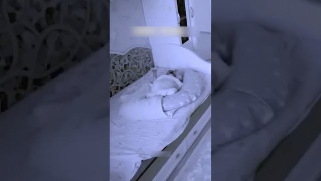 Побежала на крик☠️