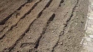 Электрокультиватор//ПРАВДИВЫЙ ОБЗОР