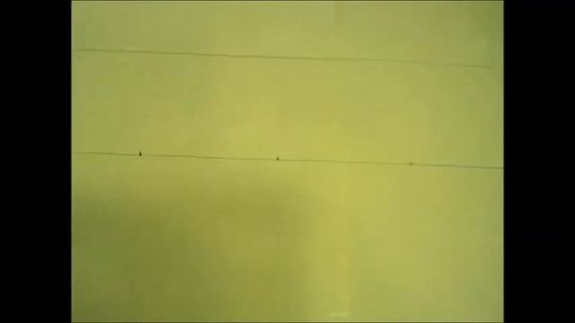 Pokemon AR Card Tutorial смотреть онлайн