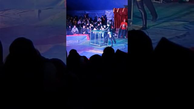 Цирк "Шапито" шоу Иллюзианистов Севастополь 02.04.2017 смотреть онлайн