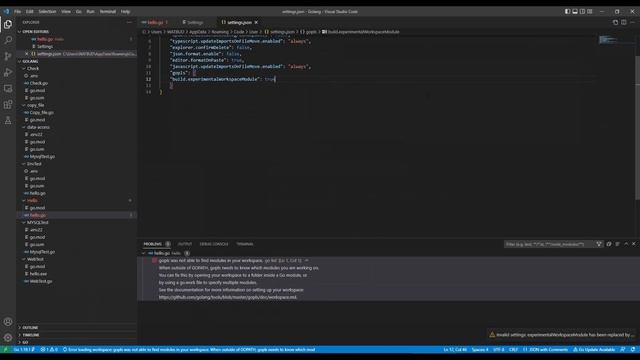 Go專案基礎問題 (Gopls was not able to find modules in your workspace) смотреть онлайн