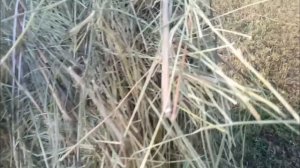 ПРф145 процесс пресования и отзыв