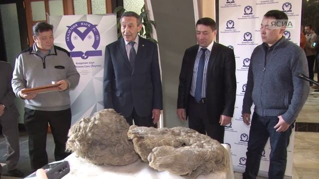 Сенсационная находка в Якутии: детеныш носорога Саша смотреть онлайн