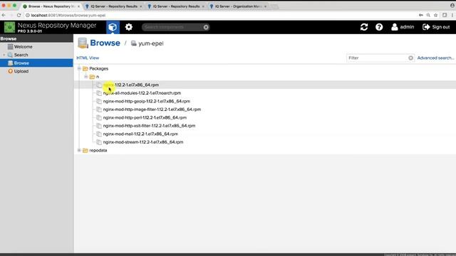 Nexus Firewall for RPM/YUM смотреть онлайн