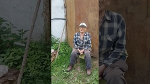 Подорожник. Субатрофический гастрит.Свидетельство.