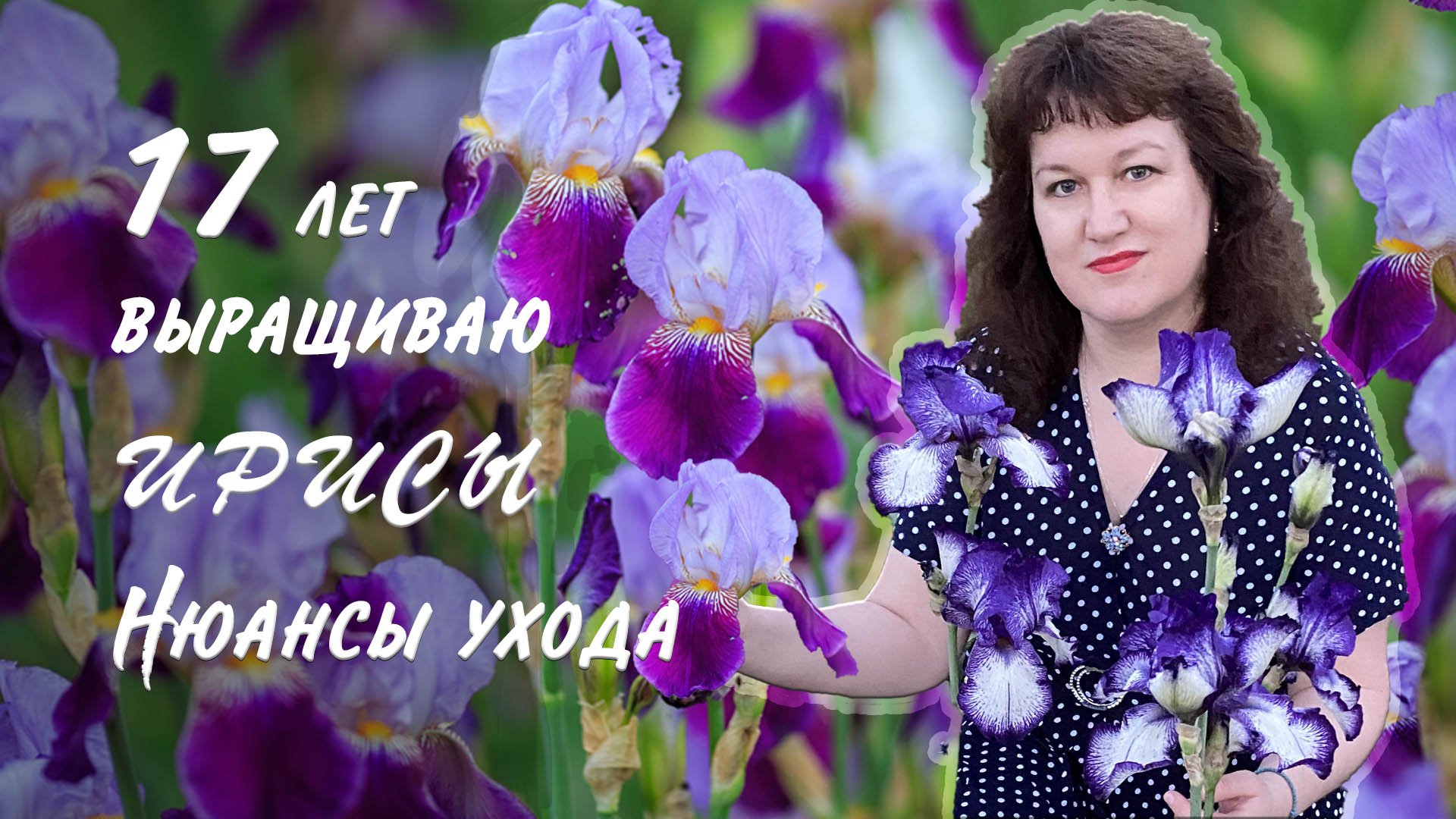 Ирисы. Основные правила ухода и выращивания ирисов смотреть онлайн