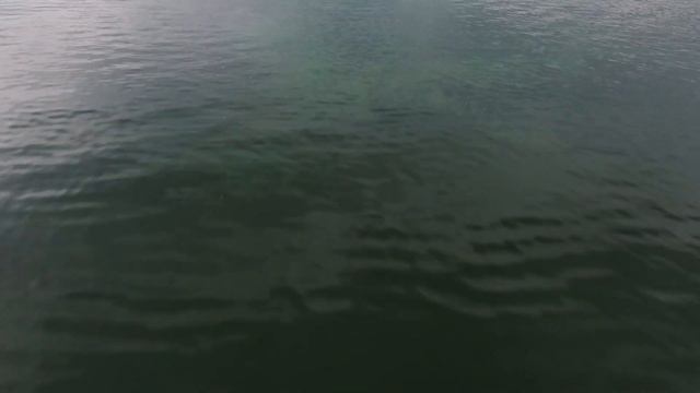 Константиновск, цветущий Дон смотреть онлайн