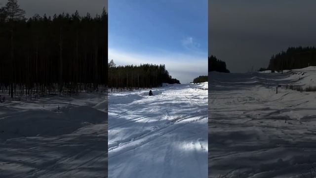 Bearcat Arctic cat смотреть онлайн