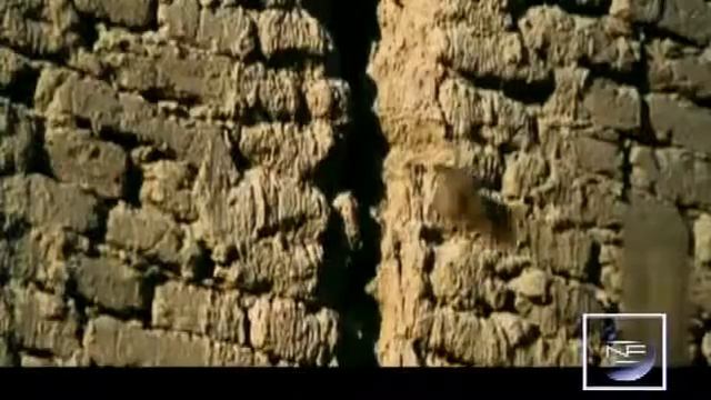 [New Frontier HQ] Chinese Civilization (13) The Tang Dynasty Part 01 2/2 смотреть онлайн