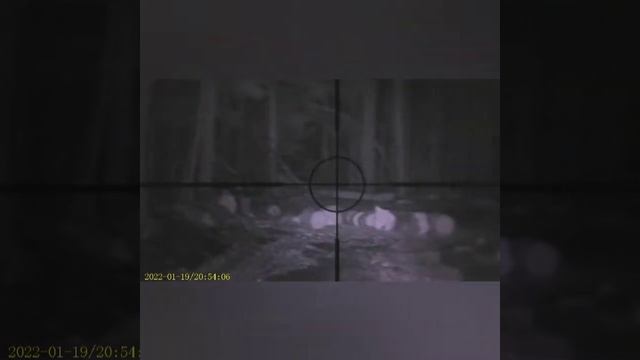 Megaori 3 цифравая насадка на оптический прицел с али экспрес смотреть онлайн