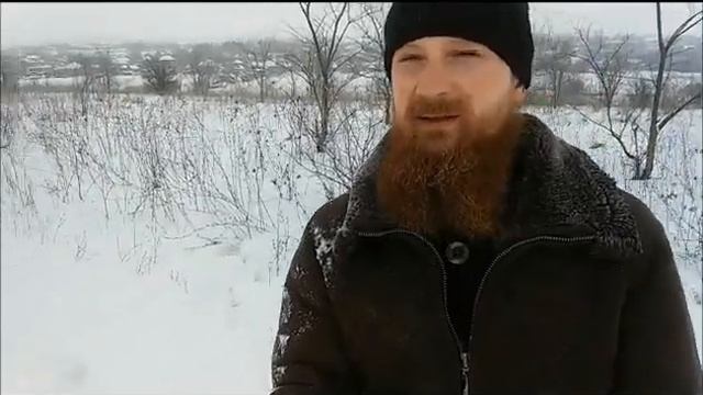 КАРМАЛИНОВСКАЯ ЗИМОЙ. ПРОГУЛКА С ШАРИКОМ. смотреть онлайн