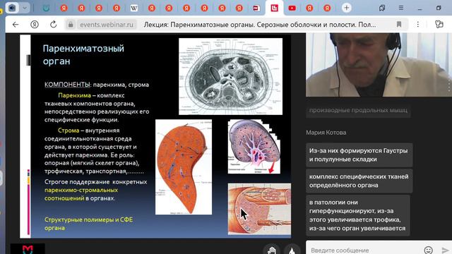 Лекция Паренхиматозные органы Серозные оболочки и полости Полость брюшины смотреть онлайн