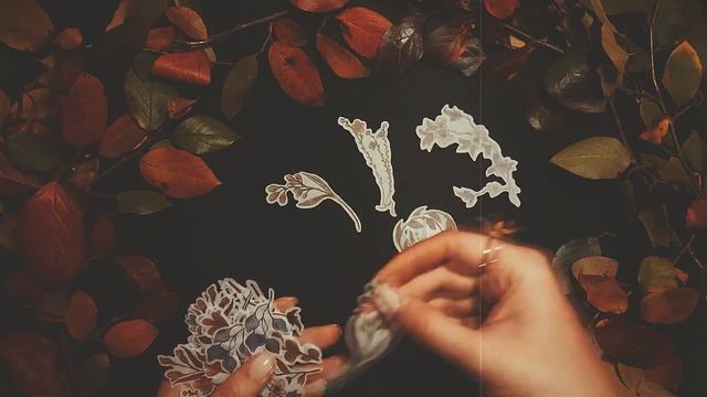 АСМР • Распаковка посылочек с Алиэкспресс • Шепот и шуршалки