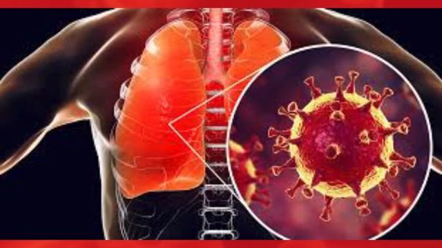 Secret of the Cinnamon / Секреты Корицы смотреть онлайн