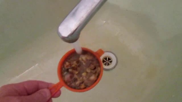 Как сомы клариусы едят самый лучший корм для аквариумных рыб. смотреть онлайн