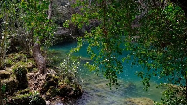 Весенняя генеральная уборка не забудь про 7 мест! смотреть онлайн