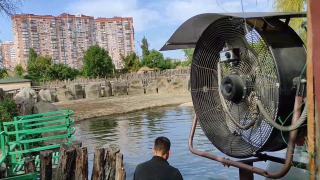 Сафари- парк на Солнечном Острове. 2 часть. смотреть онлайн