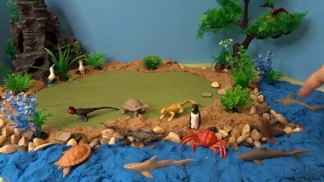 Safari Ltd. Galapagos Island & Ocean Toob - Animal Diorama- Learn Animal Names смотреть онлайн