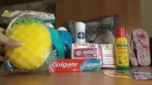 Покупки для лагеря. Собираю ребенка в лагерь.