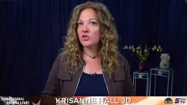 Constitutional America - Contract Tracing in America смотреть онлайн