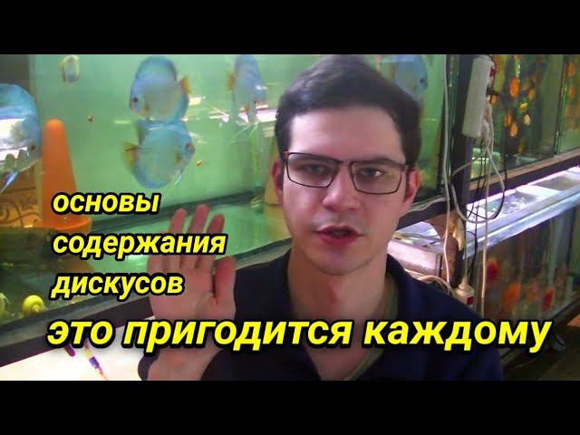 Дискусы - основы содержания, кормления и лечения смотреть онлайн