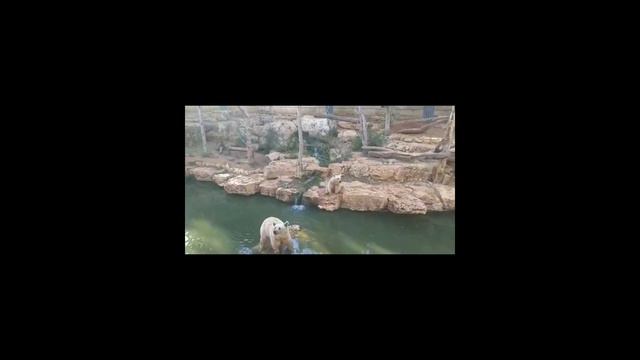 3.23Глава.Анна Каренина. смотреть онлайн