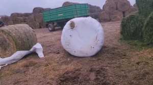 Производство витаминно-травяных гранул. Калужская обл. 2022г