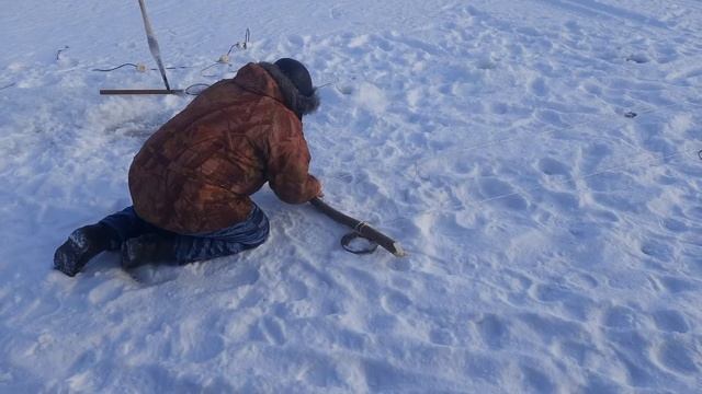 Как быстро поставить рыболовную сеть под лёд. смотреть онлайн