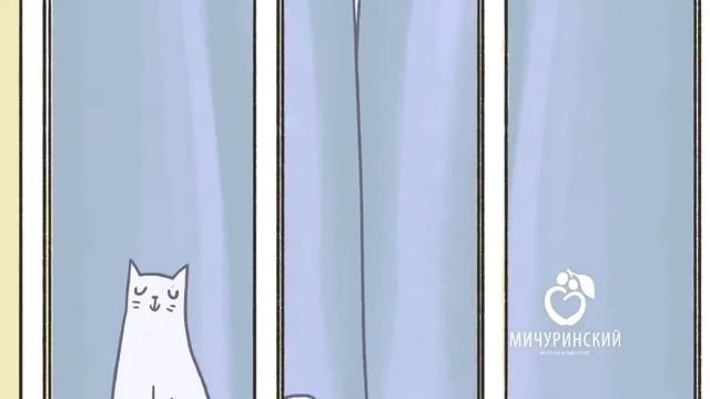 Счастье любит тишину. ЖК "Мичуринский". город Тверь смотреть онлайн