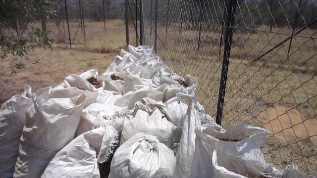 The Power Of Volunteering // Top 5 Reasons To Volunteer Today