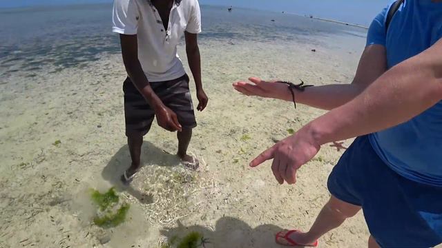 ЗАНЗИБАР-ОСТРОВ РЕЛАКСА|КАПЛЯ ПОЗИТИВА|19февреля смотреть онлайн