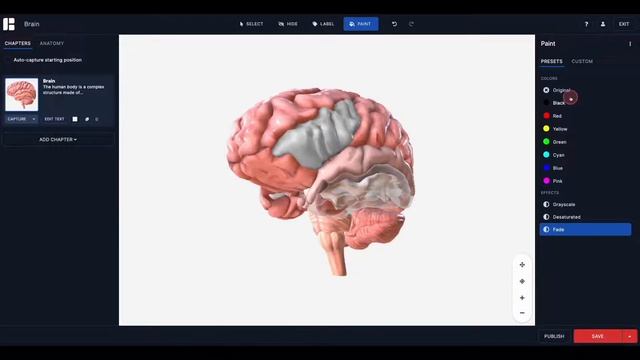 How to Paint 3D Models in Human Studio смотреть онлайн