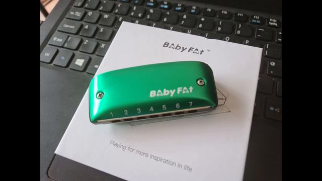 The Black Rose (Roisin Dubh) - Baby Fat Harmonica смотреть онлайн