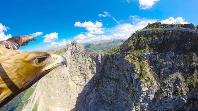 Breathtaking Eagle POV Flying Over The Alps in 4K смотреть онлайн