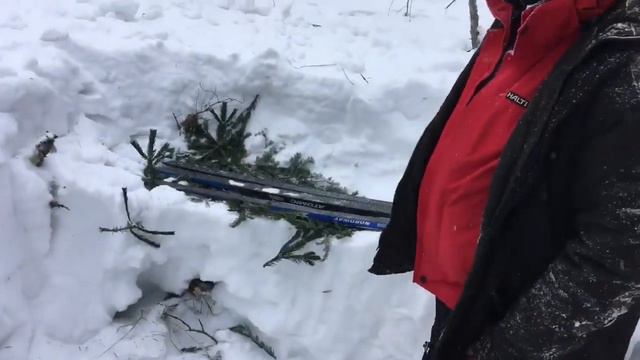 Дивногорская видовка смотреть онлайн