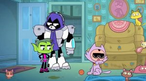 Юные титаны, вперед! | Котики | Cartoon Network